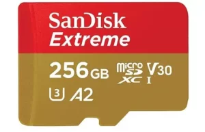 sandisk 256 gb sd card